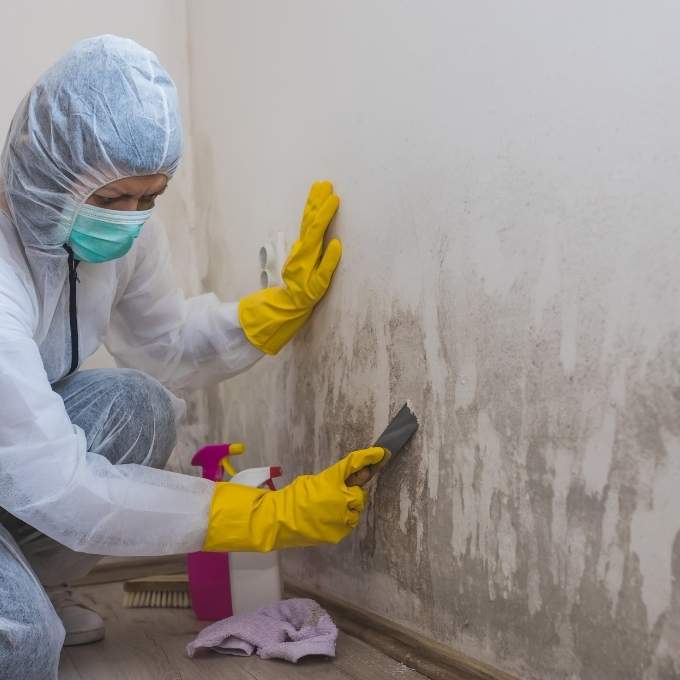 Mold Remediation In Utah	Near Me